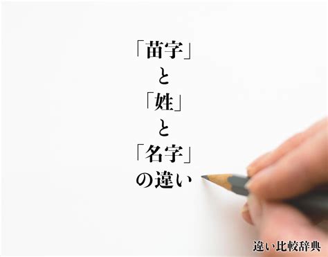 寶 名字|「寶」という名字(苗字)の読み方や人口数・人口分布について